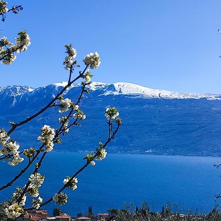 Agriturismo L'Uliveto Гарньяно Экстерьер фото