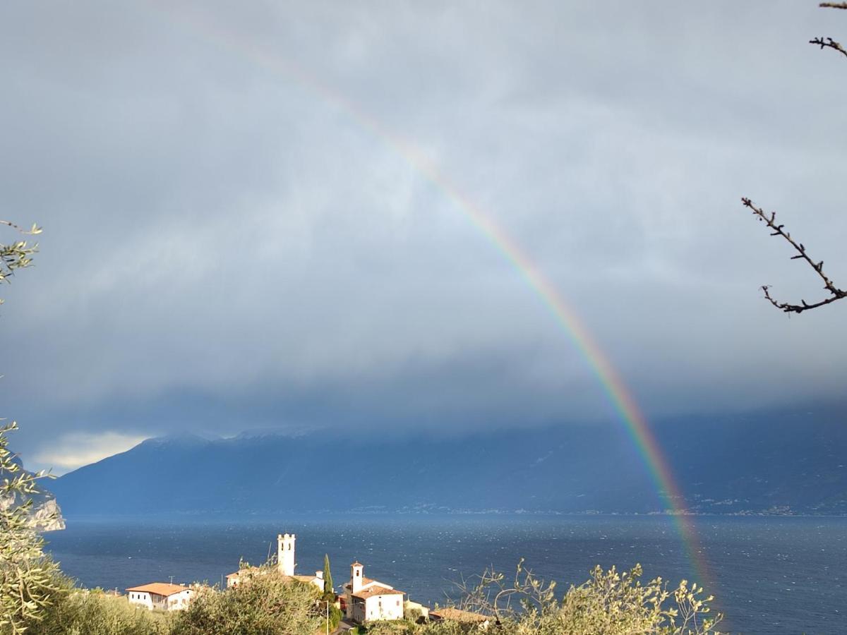 Agriturismo L'Uliveto Гарньяно Номер фото