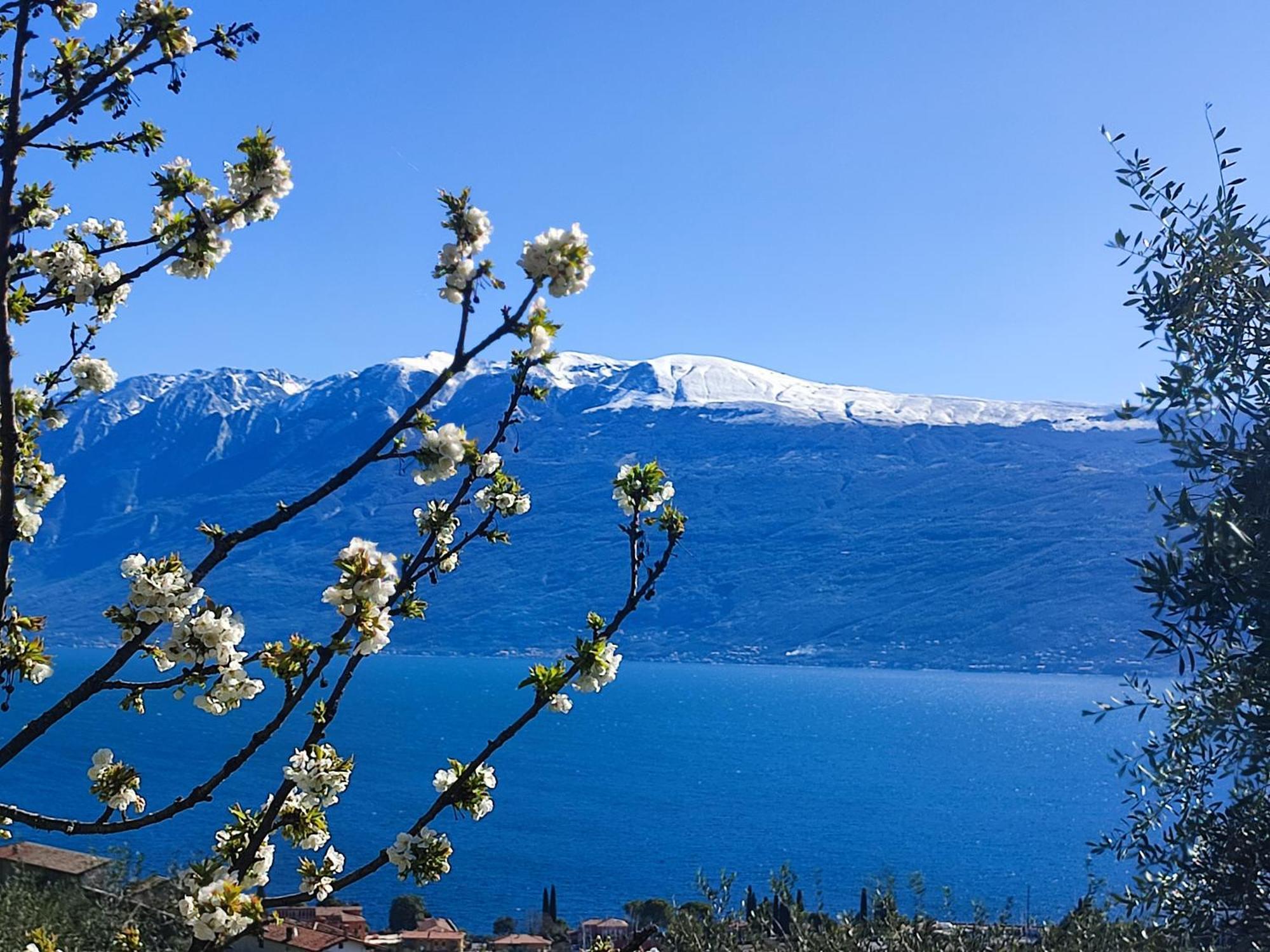 Agriturismo L'Uliveto Гарньяно Экстерьер фото